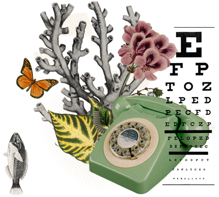 Contacto Arteriak